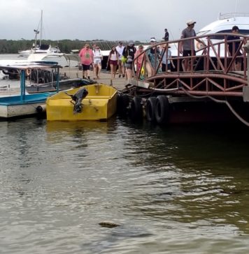 Kapal Cepat Denpasar-Banyuwangi Berhenti Operasi, Ini Penjelasan Kadishub