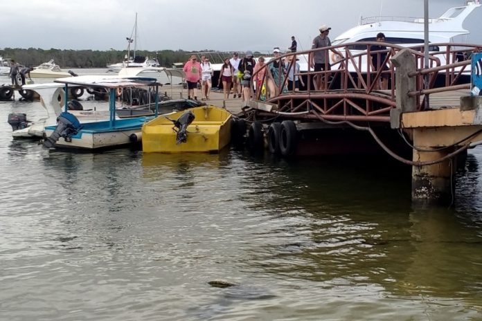 Kapal Cepat Denpasar Banyuwangi Berhenti Operasi, Ini Penjelasan Kadishub 1