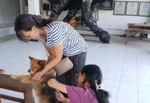 Kasus Gigitan HPR Meningkat, Gianyar Alokasikan Anggaran Khusus untuk VAR dan SAR