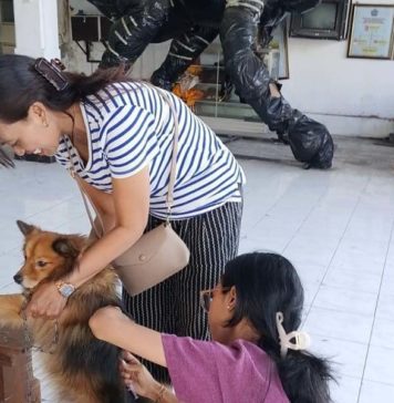Kasus Gigitan HPR Meningkat, Gianyar Alokasikan Anggaran Khusus untuk VAR dan SAR