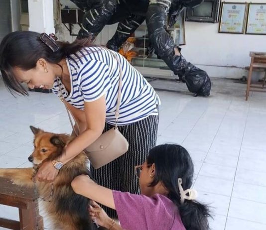 Kasus Gigitan HPR Meningkat, Gianyar Alokasikan Anggaran Khusus untuk VAR dan SAR