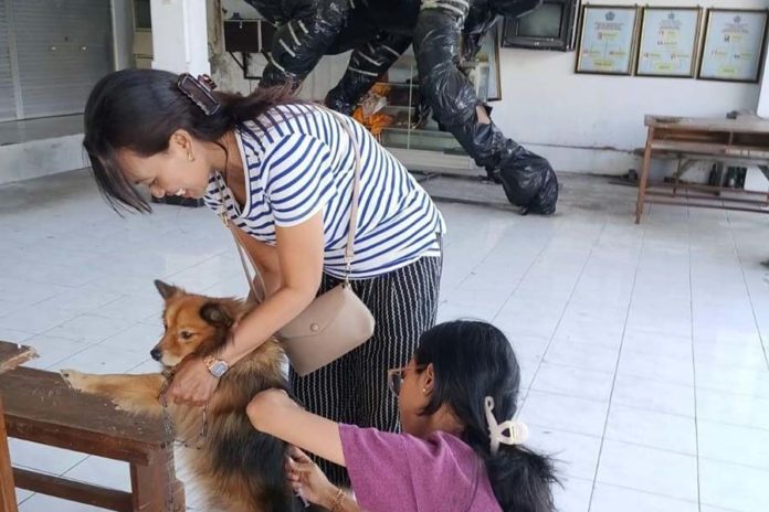 Kasus Gigitan HPR Meningkat, Gianyar Alokasikan Anggaran Khusus Untuk VAR Dan SAR 1