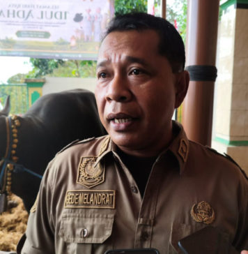 Kasus Gigitan HPR Terus Meningkat, Pemilik Hewan Diminta Lebih Proaktif Vaksinasi