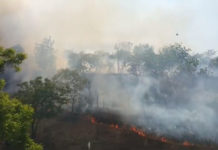 Kemarau Rentan Picu Kebakaran Lahan, Masyarakat Diimbau Waspada