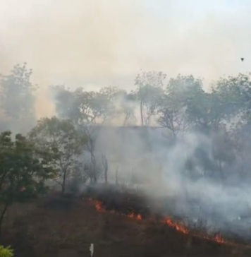Kemarau Rentan Picu Kebakaran Lahan, Masyarakat Diimbau Waspada