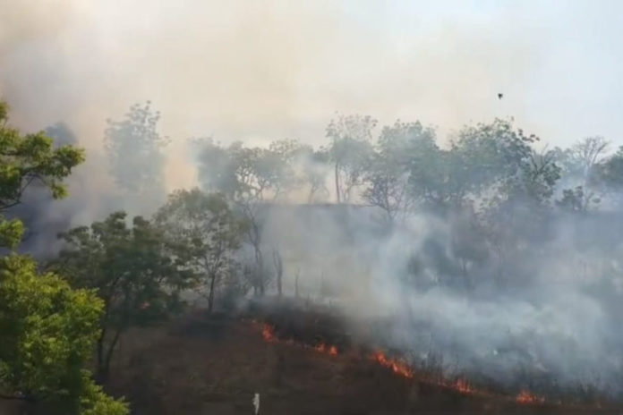 Kemarau Rentan Picu Kebakaran Lahan, Masyarakat Diimbau Waspada 1