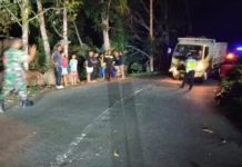 Lakalantas dengan Truk di Sibetan, Pemotor Tewas di Tempat