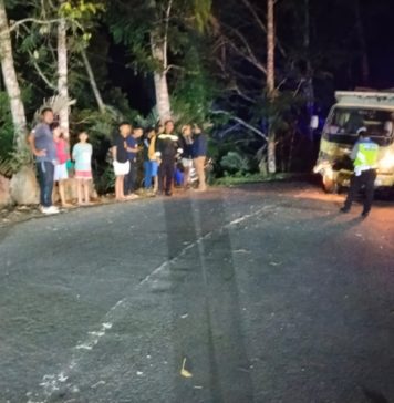 Lakalantas dengan Truk di Sibetan, Pemotor Tewas di Tempat