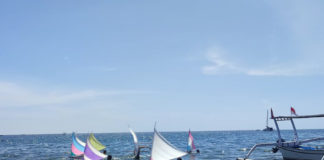 Lomba Perahu Layar Mini Jadi Andalan Lovina Festival, Peserta Naik Tiga Kali Lipat