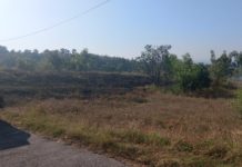 Musim Kemarau, Hektaran Lahan Kering di Kubu Terbakar