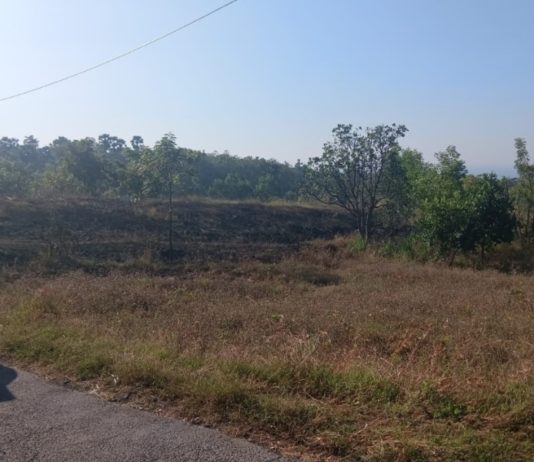 Musim Kemarau, Hektaran Lahan Kering di Kubu Terbakar