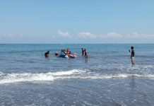 Paus Berukuran Raksasa Terdampar di Pantai Perancak