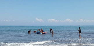 Paus Berukuran Raksasa Terdampar di Pantai Perancak