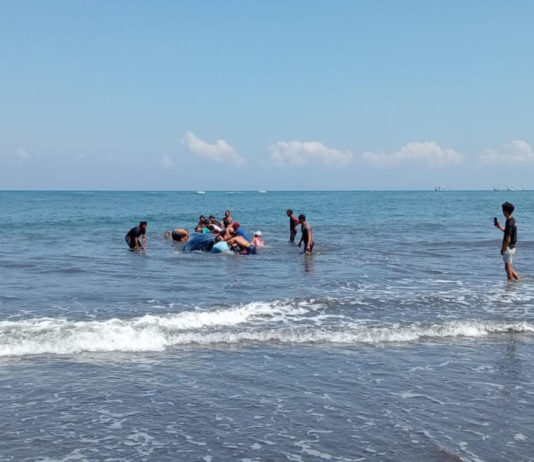 Paus Berukuran Raksasa Terdampar di Pantai Perancak