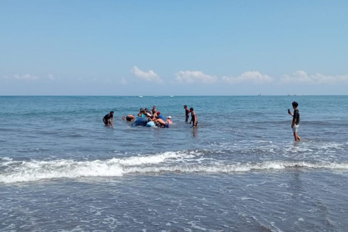 Paus Berukuran Raksasa Terdampar Di Pantai Perancak 1