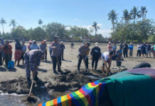 Upaya Penyelamatan Gagal, Paus Terdampar di Perancak Akhirnya Mati