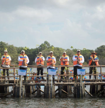 Peringati Hari Mangrove Sedunia, 15.000 Bibit Mangrove Ditanam di Tahura Ngurah Rai