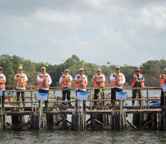 Peringati Hari Mangrove Sedunia, 15.000 Bibit Mangrove Ditanam di Tahura Ngurah Rai