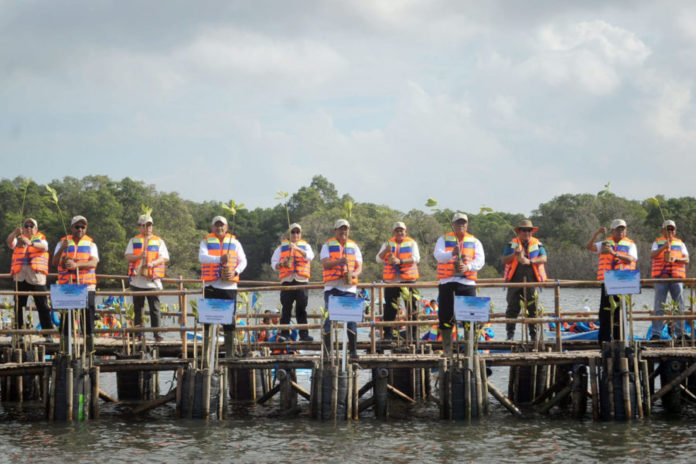 Peringati Hari Mangrove Sedunia, 15.000 Bibit Mangrove Ditanam Di Tahura Ngurah Rai 1