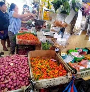 Pertumbuhan Ekonomi Bali di Semester II Diproyeksi hingga 5,9 Persen