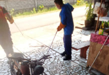 Petugas Damkar Evakuasi Dua Ular Kobra Masuk Permukiman