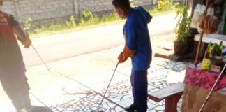 Petugas Damkar Evakuasi Dua Ular Kobra Masuk Permukiman