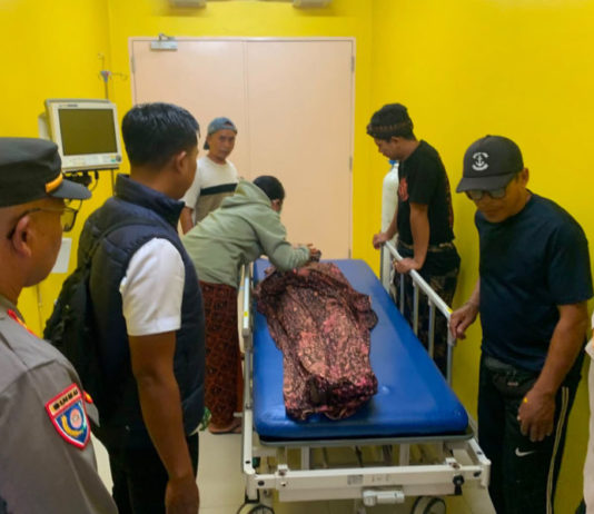 Polsek Gianyar Tangani Cepat Peristiwa Lansia Tewas Terjatuh ke Jurang di Siangan