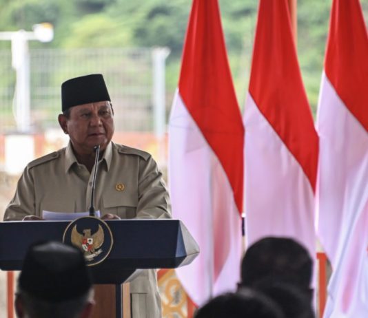 Presiden Optimis Indonesia Jadi Lumbung Pangan Dunia