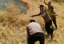Puluhan Hektare Hutan di Pemuteran Terbakar, Medan Terjal Hambat Pemadaman