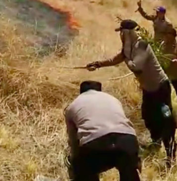 Puluhan Hektare Hutan di Pemuteran Terbakar, Medan Terjal Hambat Pemadaman