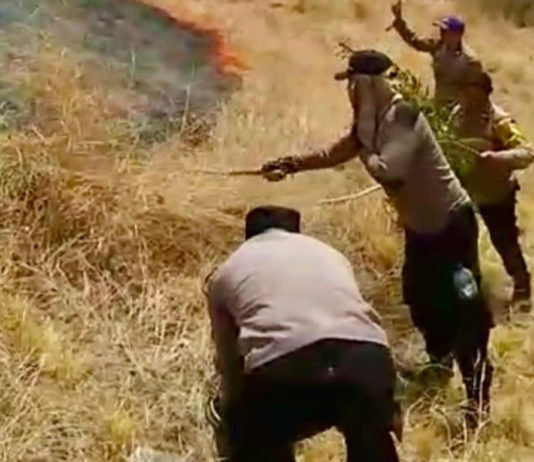 Puluhan Hektare Hutan di Pemuteran Terbakar, Medan Terjal Hambat Pemadaman
