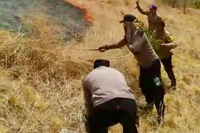 Puluhan Hektare Hutan Di Pemuteran Terbakar, Medan Terjal Hambat Pemadaman 1