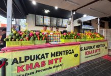 QRIS BRI Permudah Transaksi, Fruit Junkies Makin Terbantu Kelola Arus Kas