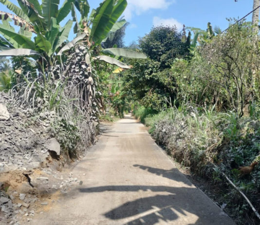 Rampungkan Rabat Beton Jalan Subak, Pemerintah Desa Taro Manfaatkan Dana Desa dan BHP