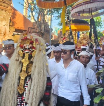 Ribuan Krama Kesiman Ikuti Ngarebong, Sejumlah Sesuhunan Tak Hadiri Ritual