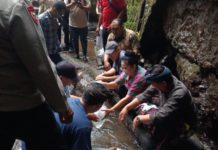 Tambah Populasi Ikan, Ribuan Bibit Nila Ditebar di Desa Pejeng