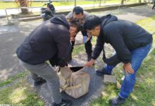Tergeletak di Bawah Semak, Tas Berwana Krem Ditemukan di Lapangan Bajra Sandhi