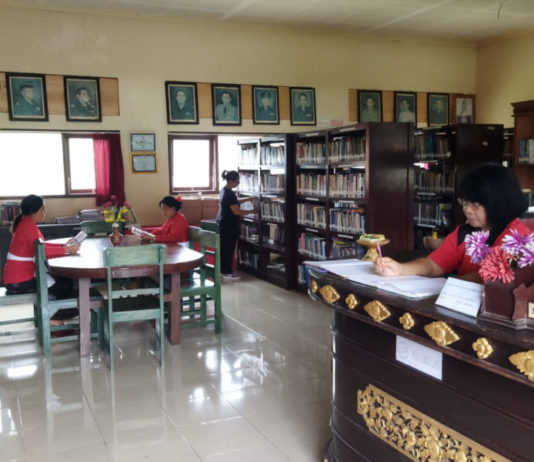 Dilebur pada 2021, Urusan Perpustakaan Bakal Kembali Diwadahi Dinas