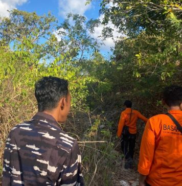 3 Hari Tak Pulang, Tim SAR Cari Keberadaan Perempuan Lansia di Nusa Penida