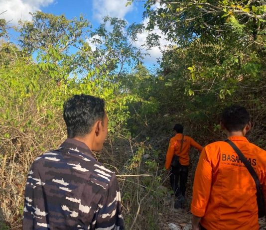 3 Hari Tak Pulang, Tim SAR Cari Keberadaan Perempuan Lansia di Nusa Penida