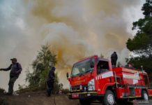60 Hektare Lahan di Kawasan Gunung Bromo Terbakar