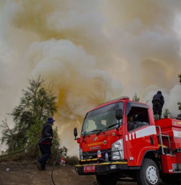 60 Hektare Lahan di Kawasan Gunung Bromo Terbakar