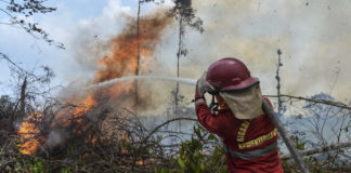 Kasus Karhutla, Polri Tetapkan 112 Tersangka