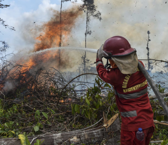 72 Tersangka Ditetapkan dalam Karhutla di 9 Provinsi