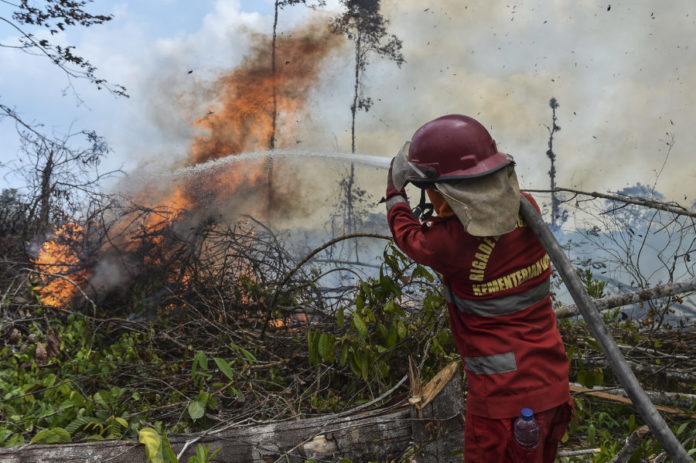 72 Tersangka Ditetapkan Dalam Karhutla Di 9 Provinsi 1