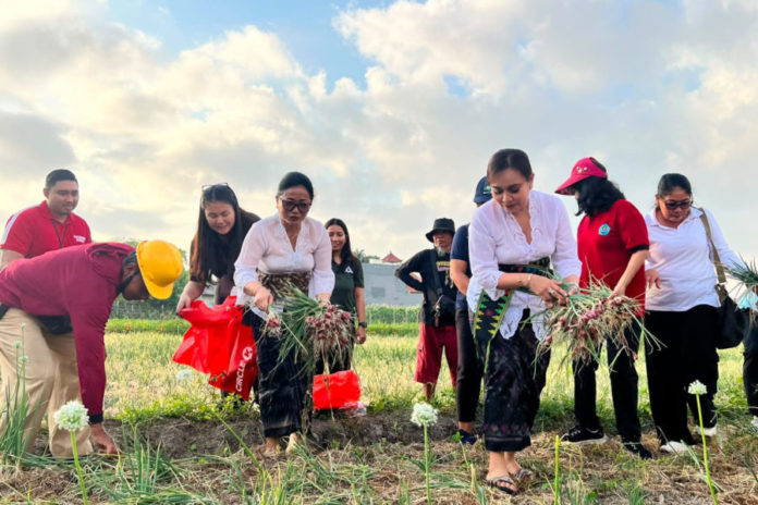 Anak Usia Dini Diperkenalkan Budidaya Bawang Merah Dan Jagung Manis 1