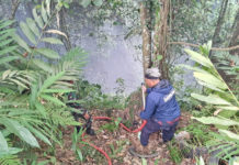 Bakar Sampah Picu Kepanikan Warga di Petak