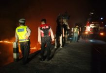 Belasan Are Lahan di Busungbiu Terbakar, Diduga Dipicu Aktivitas Pemancing