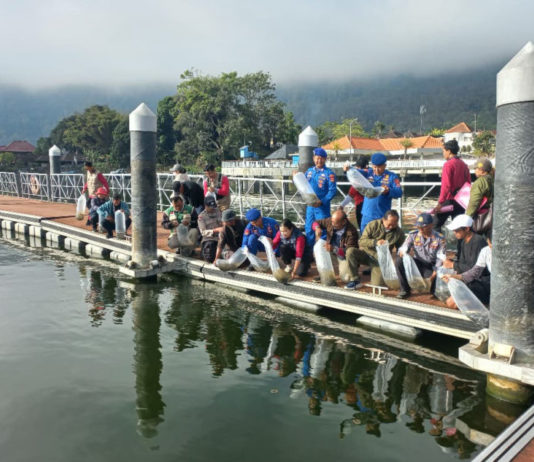 Belasan Ribu Benih Nila Ditebar di Danau Batur