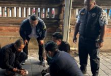 BNNP Bali Bongkar Jaringan Kamboja, Pria Terima Paket Narkoba Diamankan di Jalan Taman Pancing